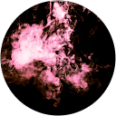 シーケーワン profile picture