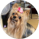 Kuniko M profile picture