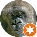 後利田ゴリ蔵 profile picture