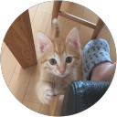 三兄弟の母 profile picture