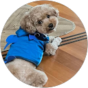 mayu_0206 profile picture