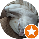 HDLS profile picture