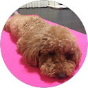 terunori koike profile picture