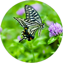 J- world profile picture