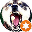 髙橋英治 profile picture