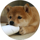 みみ profile picture