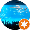 ゴえもん999 profile picture