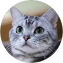 boxcoco profile picture