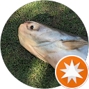 野良犬野良犬 profile picture