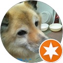 殿村悦子（コロ助） profile picture