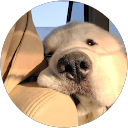 ちゃちゃ profile picture