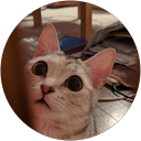 空飛ぶネコさん profile picture