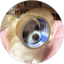 01 mon profile picture