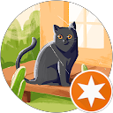 猫ひでちー profile picture