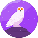 真理 profile picture