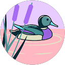 海ゆりか profile picture