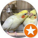 nonnko profile picture