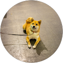 Miyuki Mao profile picture