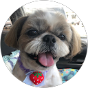 雁瀬加絵 profile picture