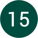 15 15 profile picture