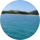 りーこ profile picture