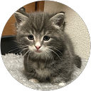 たくろいど。 profile picture