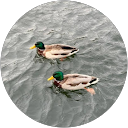 奈美恵ゆっこ profile picture