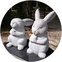 kkk hitomi profile picture