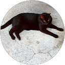 櫻井拓夢 profile picture