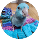 める profile picture