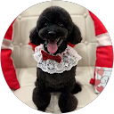 c ya profile picture