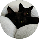 noco n profile picture