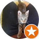 ぐでぐでたまこ profile picture