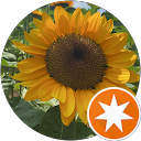 ぱるむ profile picture