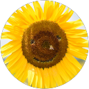 みき profile picture