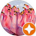 Koke Pink profile picture