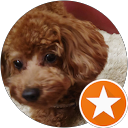 Kazuma profile picture