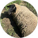 富山県民 profile picture