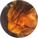 かすみ profile picture