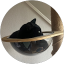 黒猫ハウス profile picture