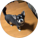 こーさん profile picture