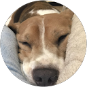 1505chie profile picture