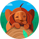 a miyake profile picture