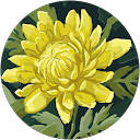 でひ profile picture