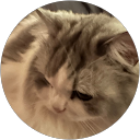 石田怜奈 profile picture