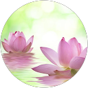 西原那生希 profile picture