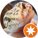 まん丸かめまん profile picture