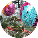 YUKI profile picture