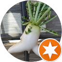 テトラ profile picture