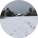 きむらりえだ profile picture